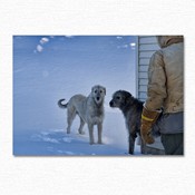 HOUNDS_IN_WINTER